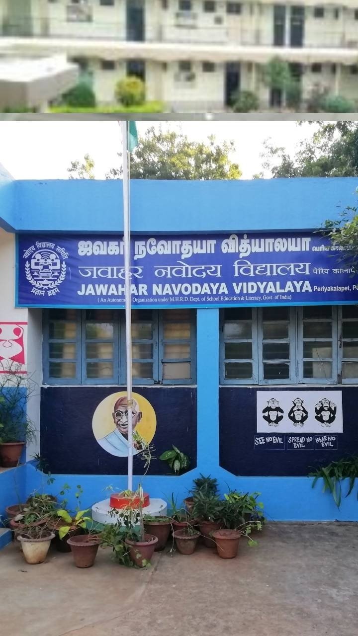 Navodaya Vidyalaya on top in CBSE exam this year, know how to get admission? Fees, complete information about the exam