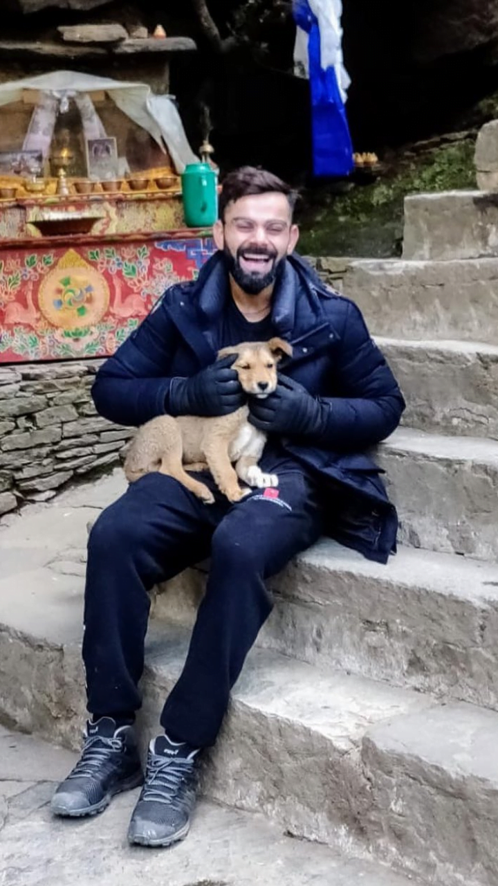 यहां जानिए विराट कोहली के पसंदीदा सुपरफूड सलाद में क्या शामिल है