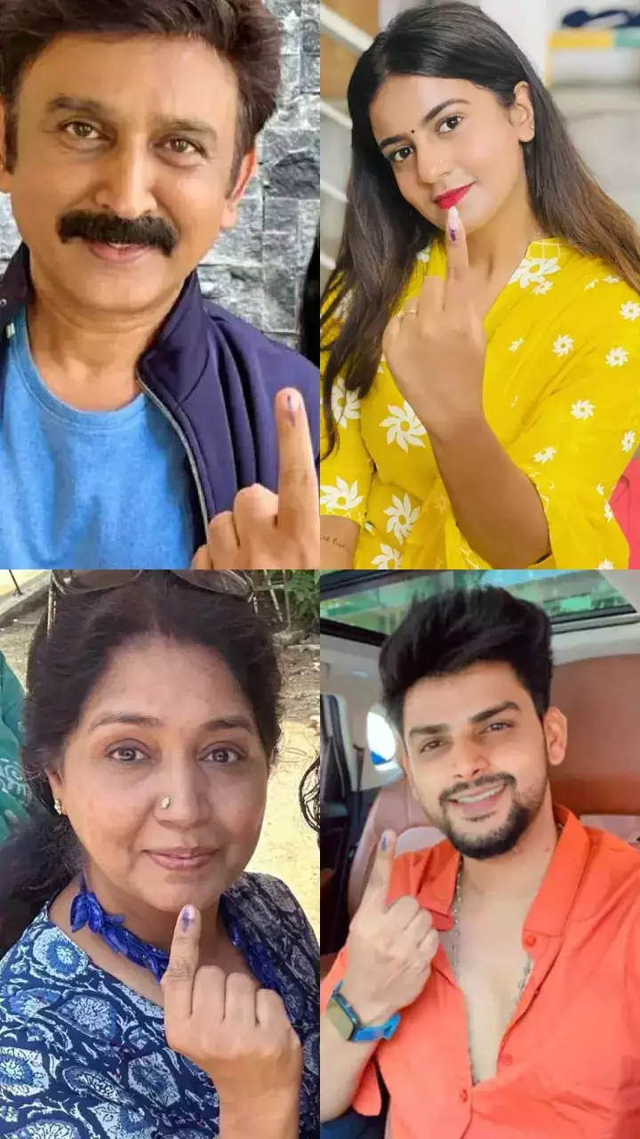 कर्नाटक चुनाव 2023 में वोट डालने के दौरान कन्नड़ टीवी अभिनेताओं ने क्या पहना था, यहां देखें