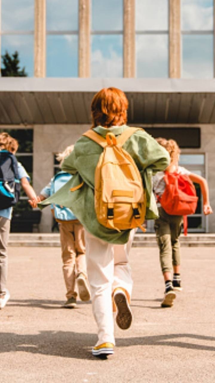 Navodaya Vidyalaya on top in CBSE exam this year, know how to get admission? Fees, complete information about the exam
