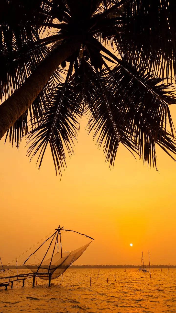 इंडियन वेडिंग डेस्टिनेशंस जितने खूबसूरत इंटरनेशनल हैं