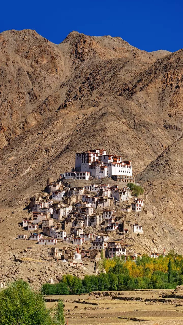 भारत में आसान मदर्स डे गेटवे