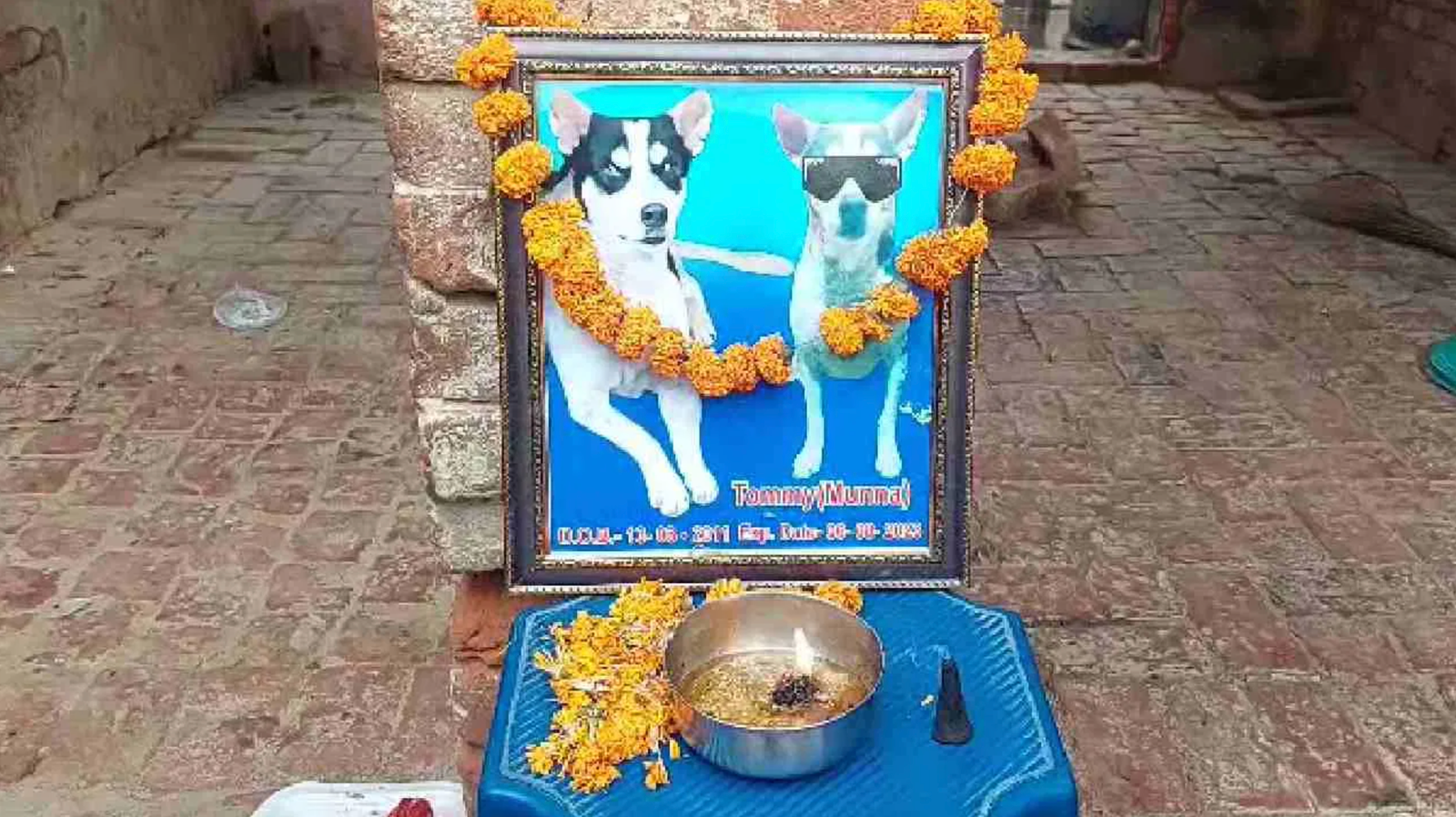 टॉमी उर्फ मुन्ना की तेरहवीं