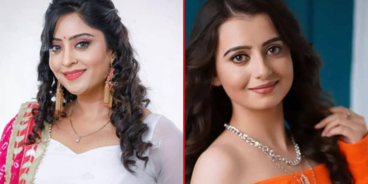 Untitled design 20241104 152103 0000